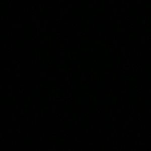 Meet your Posher, Sarina